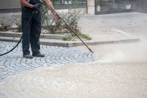 Best Soft Washing for Delicate Surfaces in Beverly Hills, CA